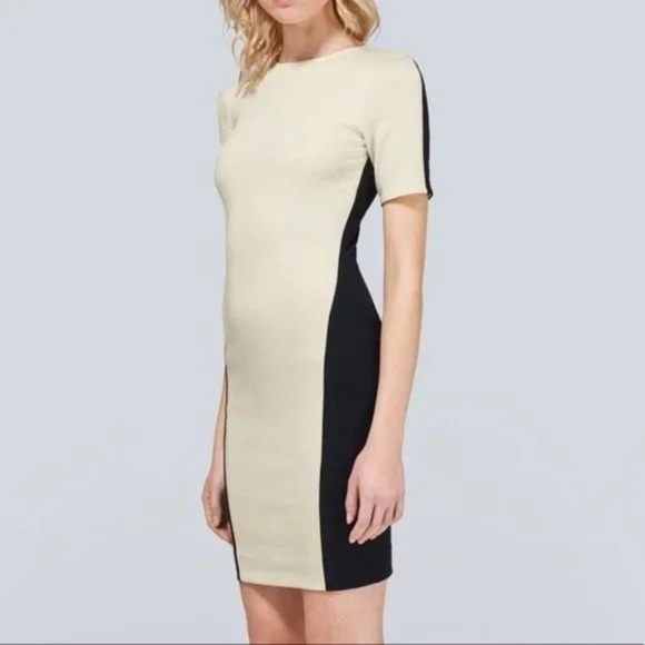 Aritzia Wilfred Mignonne Mini Dress Bodycon Stretch Short Sleeve colorblock XS - Picture 5 of 15